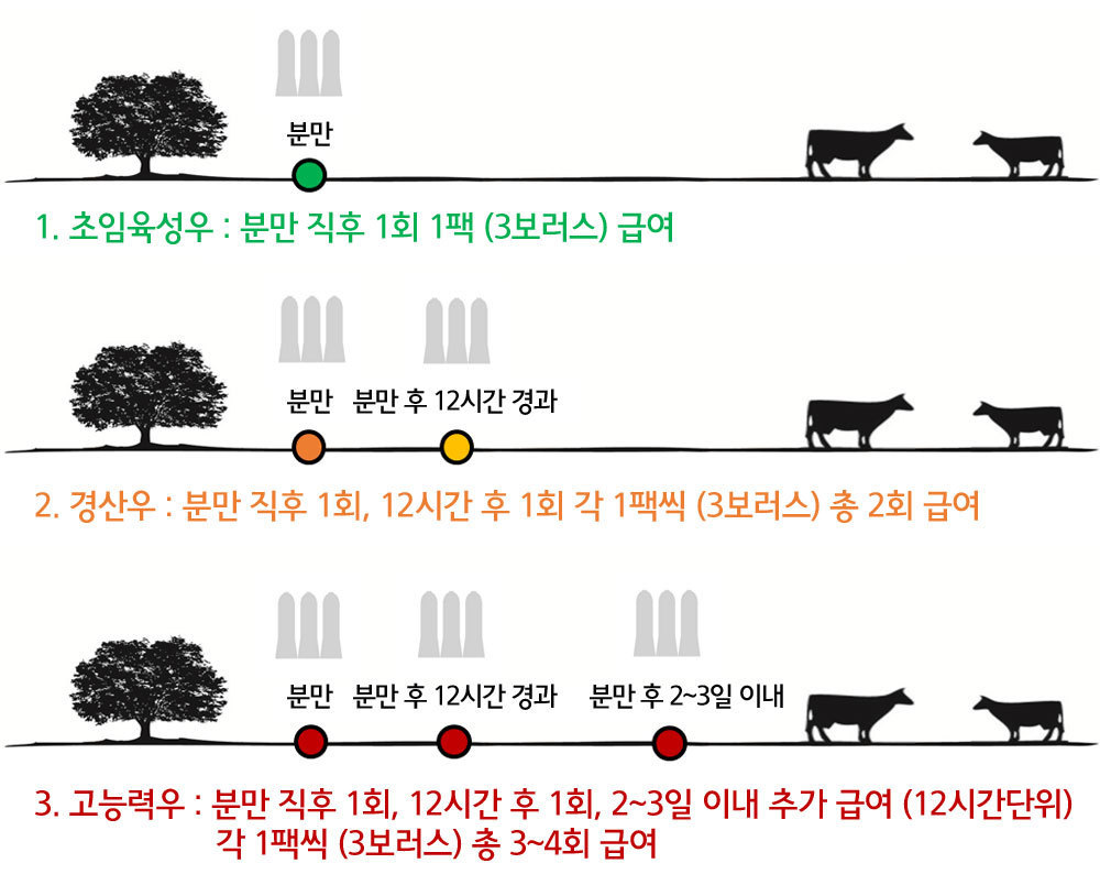 이미지명