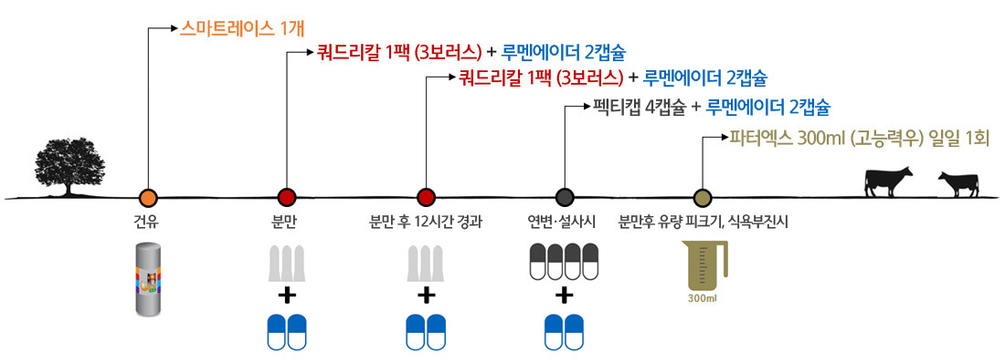토탈솔루션